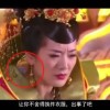 49图库电脑版